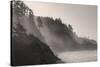Sea mist rises along Indian Beach at Ecola State Park in Cannon Beach, Oregon, USA-Chuck Haney-Stretched Canvas