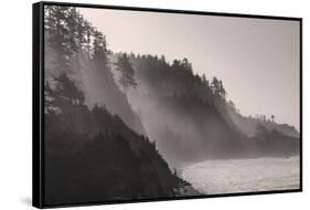 Sea mist rises along Indian Beach at Ecola State Park in Cannon Beach, Oregon, USA-Chuck Haney-Framed Stretched Canvas