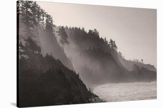 Sea mist rises along Indian Beach at Ecola State Park in Cannon Beach, Oregon, USA-Chuck Haney-Stretched Canvas