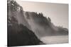 Sea mist rises along Indian Beach at Ecola State Park in Cannon Beach, Oregon, USA-Chuck Haney-Stretched Canvas