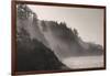 Sea mist rises along Indian Beach at Ecola State Park in Cannon Beach, Oregon, USA-Chuck Haney-Framed Photographic Print