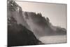 Sea mist rises along Indian Beach at Ecola State Park in Cannon Beach, Oregon, USA-Chuck Haney-Mounted Photographic Print