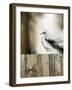 Sea Mist & the Egret-J^P^ Prior-Framed Giclee Print