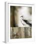 Sea Mist & the Egret-J^P^ Prior-Framed Giclee Print