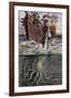 Sea Monster-null-Framed Giclee Print