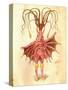 Sea Nettle 1873 'Missing Links' Parade Costume Design-Charles Briton-Stretched Canvas