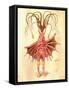 Sea Nettle 1873 'Missing Links' Parade Costume Design-Charles Briton-Framed Stretched Canvas