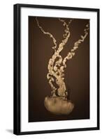 Sea Nettle IV-Erin Berzel-Framed Photographic Print