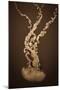 Sea Nettle IV-Erin Berzel-Mounted Photographic Print