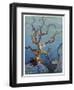 Sea-Nymphs-Virginia Frances Sterrett-Framed Photographic Print