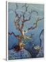 Sea-Nymphs-Virginia Frances Sterrett-Stretched Canvas