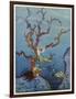 Sea-Nymphs-Virginia Frances Sterrett-Framed Photographic Print