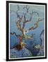 Sea-Nymphs-Virginia Frances Sterrett-Framed Photographic Print