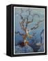 Sea-Nymphs-Virginia Frances Sterrett-Framed Stretched Canvas