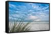 Sea Oat Curl of Sunset-Mary Lou Johnson-Framed Stretched Canvas