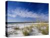 Sea Oats and White Sand Dunes-James Randklev-Stretched Canvas