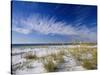 Sea Oats and White Sand Dunes-James Randklev-Stretched Canvas