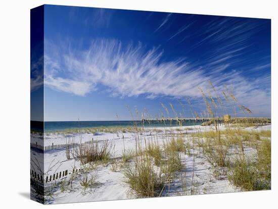 Sea Oats and White Sand Dunes-James Randklev-Stretched Canvas