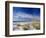 Sea Oats and White Sand Dunes-James Randklev-Framed Photographic Print