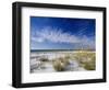 Sea Oats and White Sand Dunes-James Randklev-Framed Photographic Print