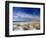 Sea Oats and White Sand Dunes-James Randklev-Framed Photographic Print