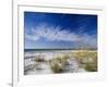 Sea Oats and White Sand Dunes-James Randklev-Framed Photographic Print