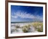 Sea Oats and White Sand Dunes-James Randklev-Framed Photographic Print