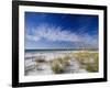 Sea Oats and White Sand Dunes-James Randklev-Framed Photographic Print