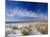 Sea Oats and White Sand Dunes-James Randklev-Mounted Photographic Print