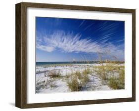 Sea Oats and White Sand Dunes-James Randklev-Framed Photographic Print