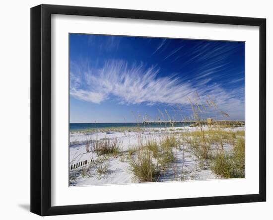 Sea Oats and White Sand Dunes-James Randklev-Framed Photographic Print