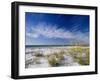 Sea Oats and White Sand Dunes-James Randklev-Framed Photographic Print