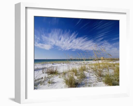 Sea Oats and White Sand Dunes-James Randklev-Framed Photographic Print