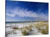 Sea Oats and White Sand Dunes-James Randklev-Stretched Canvas
