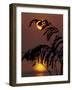 Sea Oats at Sunrise, Tybee Island, Georgia, USA-Joanne Wells-Framed Photographic Print