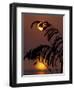 Sea Oats at Sunrise, Tybee Island, Georgia, USA-Joanne Wells-Framed Photographic Print