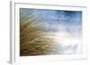 Sea Oats Blowing-Mary Lou Johnson-Framed Art Print