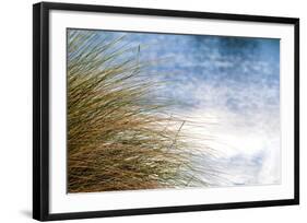 Sea Oats Blowing-Mary Lou Johnson-Framed Art Print