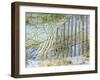 Sea Oats II-Danny Head-Framed Photographic Print