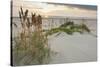 Sea Oats on Gulf of Mexico at South Padre Island, Texas, USA-Larry Ditto-Stretched Canvas