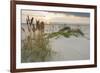 Sea Oats on Gulf of Mexico at South Padre Island, Texas, USA-Larry Ditto-Framed Photographic Print