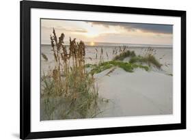 Sea Oats on Gulf of Mexico at South Padre Island, Texas, USA-Larry Ditto-Framed Photographic Print