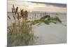 Sea Oats on Gulf of Mexico at South Padre Island, Texas, USA-Larry Ditto-Mounted Photographic Print