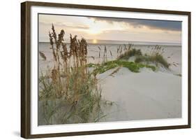 Sea Oats on Gulf of Mexico at South Padre Island, Texas, USA-Larry Ditto-Framed Photographic Print