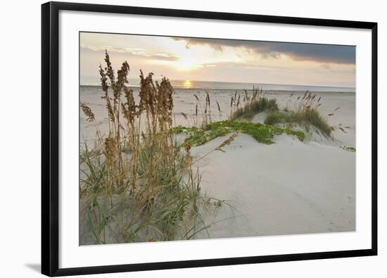 Sea Oats on Gulf of Mexico at South Padre Island, Texas, USA-Larry Ditto-Framed Photographic Print