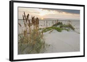 Sea Oats on Gulf of Mexico at South Padre Island, Texas, USA-Larry Ditto-Framed Photographic Print