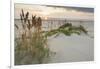 Sea Oats on Gulf of Mexico at South Padre Island, Texas, USA-Larry Ditto-Framed Photographic Print