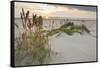 Sea Oats on Gulf of Mexico at South Padre Island, Texas, USA-Larry Ditto-Framed Stretched Canvas