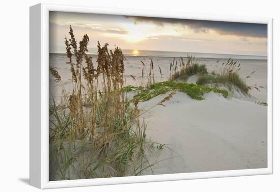 Sea Oats on Gulf of Mexico at South Padre Island, Texas, USA-Larry Ditto-Framed Photographic Print