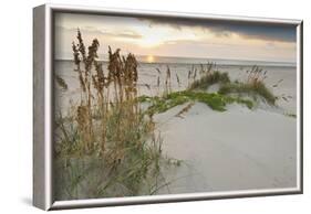 Sea Oats on Gulf of Mexico at South Padre Island, Texas, USA-Larry Ditto-Framed Photographic Print